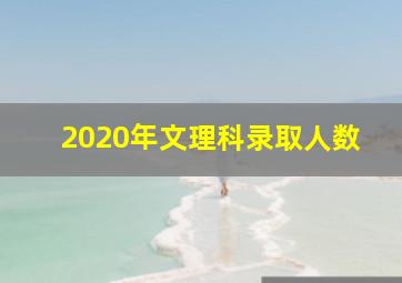 2020年文理科录取人数