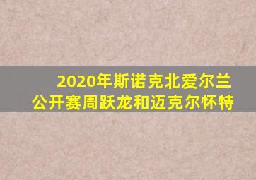 2020年斯诺克北爱尔兰公开赛周跃龙和迈克尔怀特