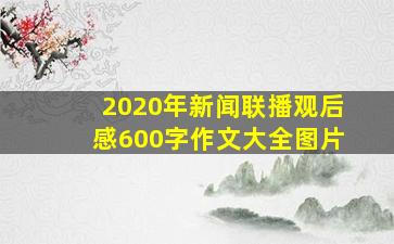 2020年新闻联播观后感600字作文大全图片