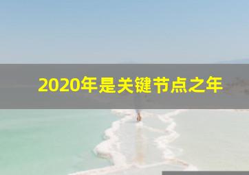 2020年是关键节点之年