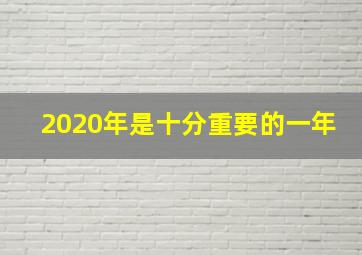 2020年是十分重要的一年