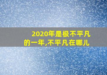 2020年是极不平凡的一年,不平凡在哪儿