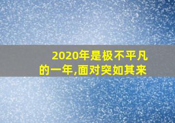 2020年是极不平凡的一年,面对突如其来