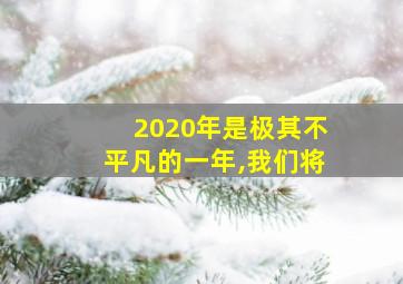 2020年是极其不平凡的一年,我们将