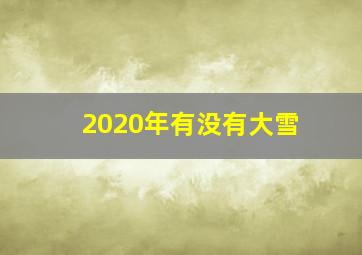 2020年有没有大雪