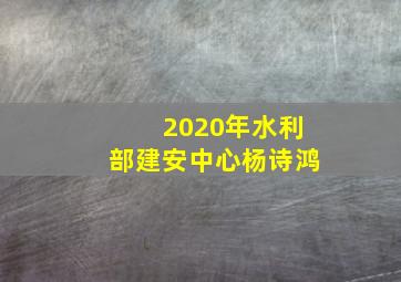 2020年水利部建安中心杨诗鸿