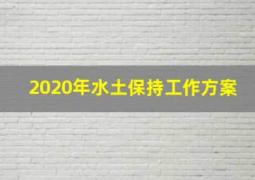 2020年水土保持工作方案