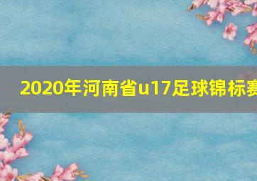 2020年河南省u17足球锦标赛