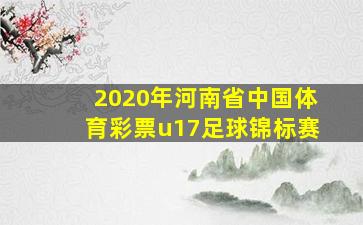 2020年河南省中国体育彩票u17足球锦标赛