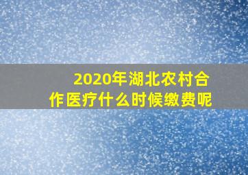 2020年湖北农村合作医疗什么时候缴费呢