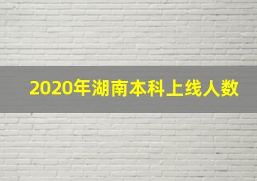 2020年湖南本科上线人数