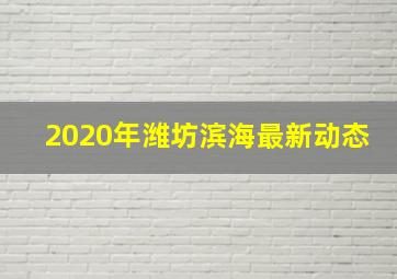 2020年潍坊滨海最新动态