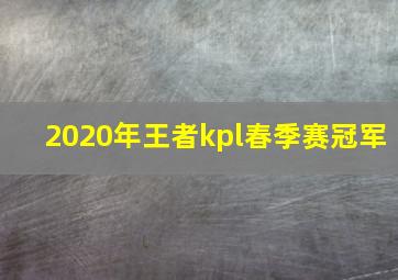 2020年王者kpl春季赛冠军