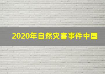 2020年自然灾害事件中国