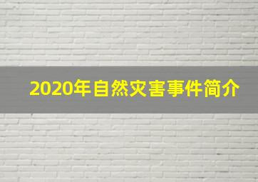 2020年自然灾害事件简介