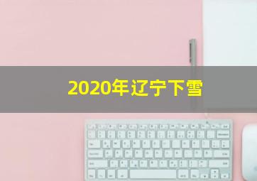 2020年辽宁下雪