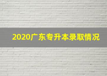 2020广东专升本录取情况