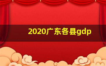 2020广东各县gdp