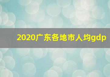 2020广东各地市人均gdp