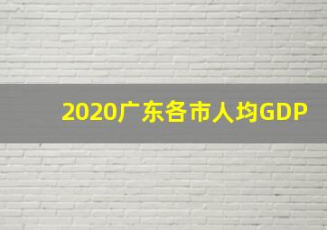 2020广东各市人均GDP