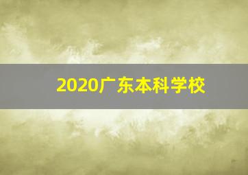 2020广东本科学校