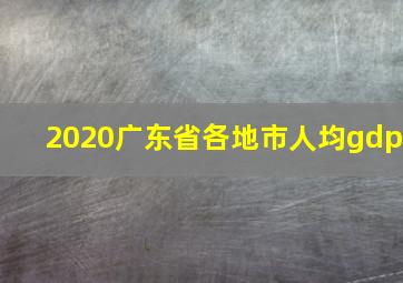 2020广东省各地市人均gdp