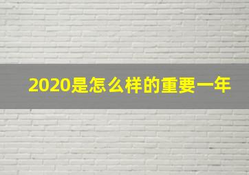 2020是怎么样的重要一年