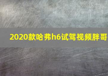 2020款哈弗h6试驾视频胖哥