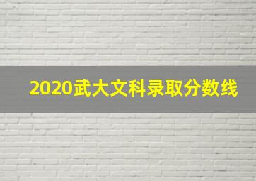 2020武大文科录取分数线