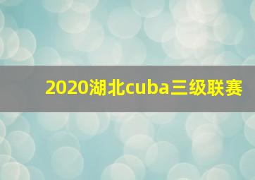 2020湖北cuba三级联赛