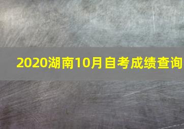 2020湖南10月自考成绩查询