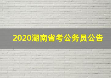 2020湖南省考公务员公告