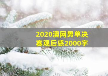 2020澳网男单决赛观后感2000字