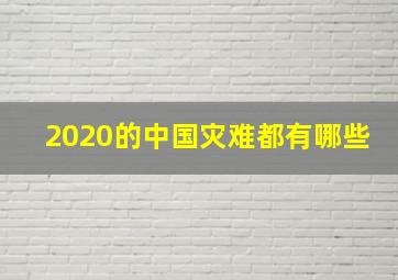 2020的中国灾难都有哪些