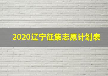 2020辽宁征集志愿计划表