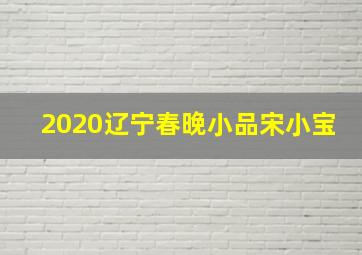 2020辽宁春晚小品宋小宝