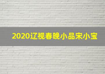 2020辽视春晚小品宋小宝