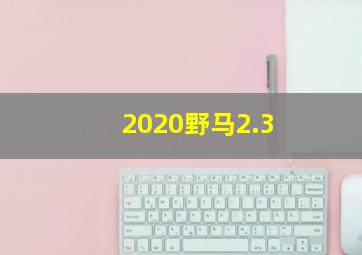 2020野马2.3