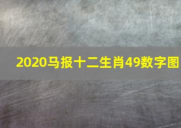 2020马报十二生肖49数字图