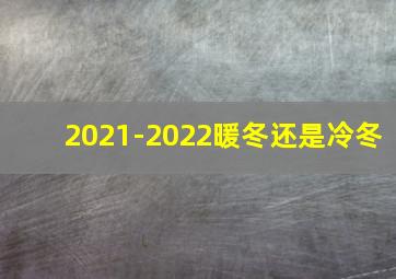 2021-2022暖冬还是冷冬