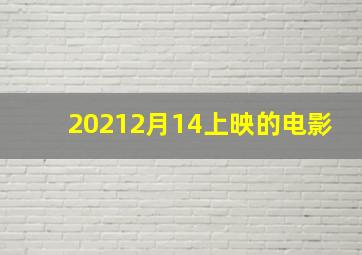 20212月14上映的电影