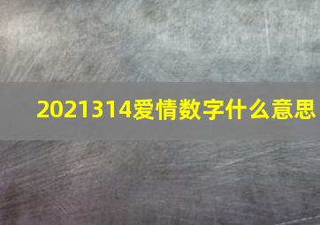 2021314爱情数字什么意思