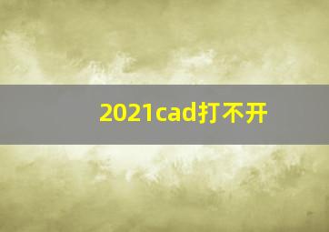 2021cad打不开