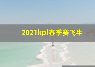 2021kpl春季赛飞牛