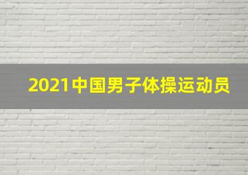 2021中国男子体操运动员