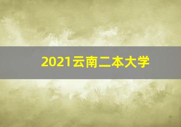 2021云南二本大学