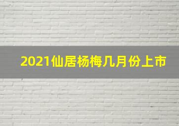 2021仙居杨梅几月份上市