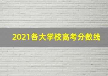 2021各大学校高考分数线