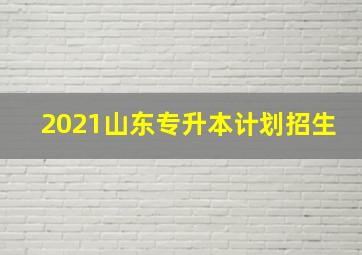 2021山东专升本计划招生