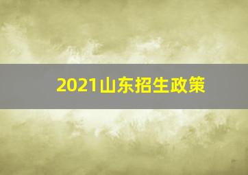 2021山东招生政策